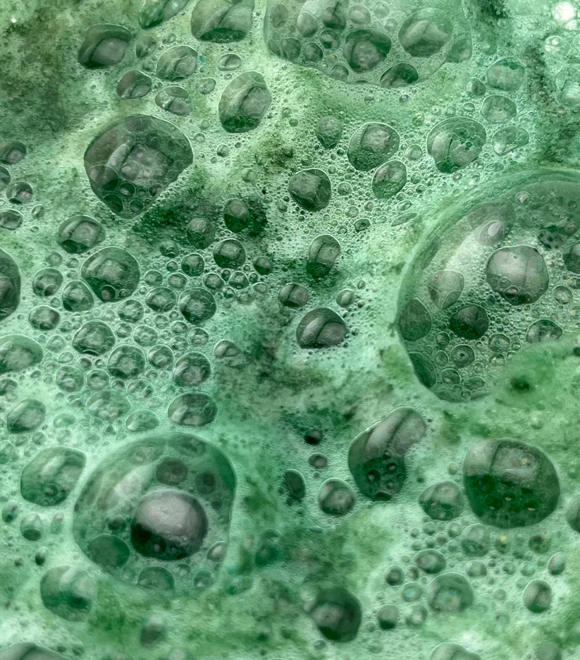 Close-up of green bubbles and foam