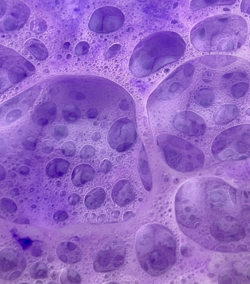 Purple Fizzy Potion Powder